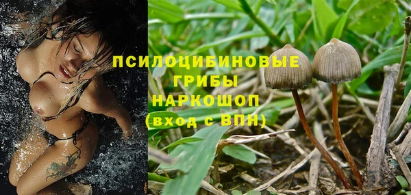 молекула духа Ельня