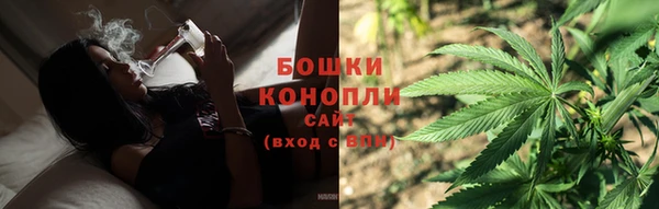 молекула духа Ельня