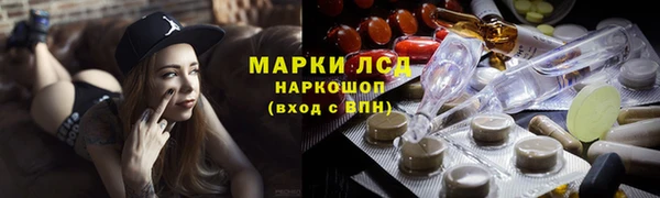 молекула духа Ельня