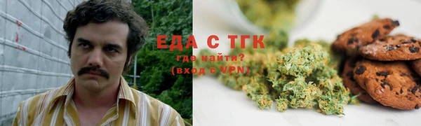 молекула духа Ельня