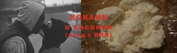 молекула духа Ельня
