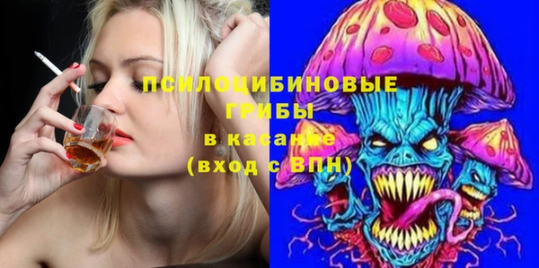 молекула духа Ельня