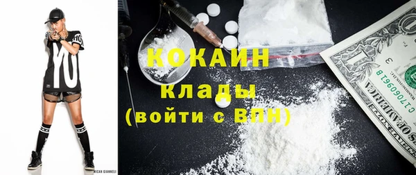 молекула духа Ельня
