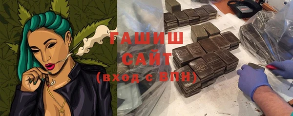 молекула духа Ельня