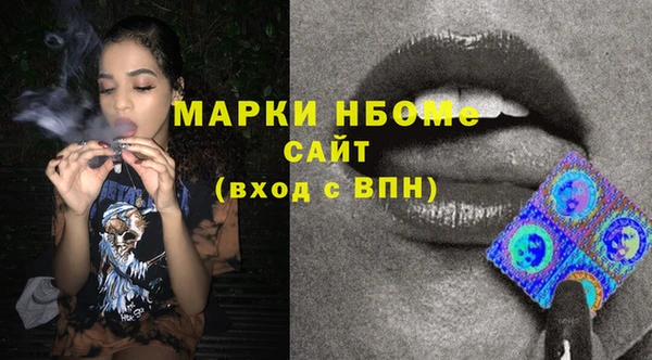 молекула духа Ельня